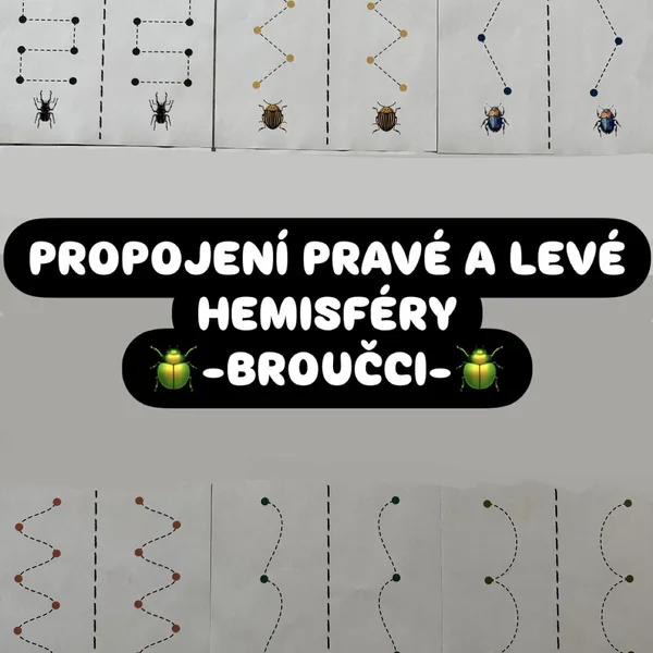 Propojení mozkových hemisfér - BROUČCI 1