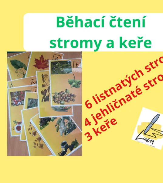 Běhací čtení - stromy a keře 1