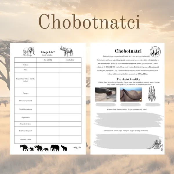 Chobotnatci 1