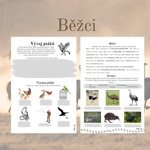 Běžci 1