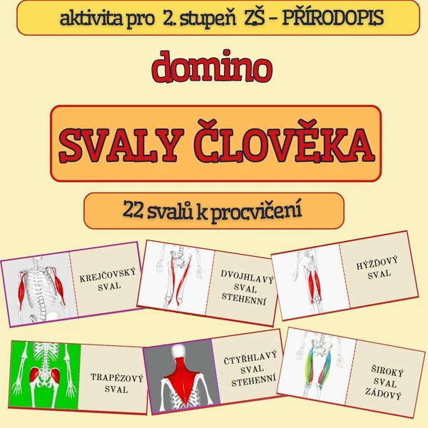Domino - SVALY ČLOVĚKA 1