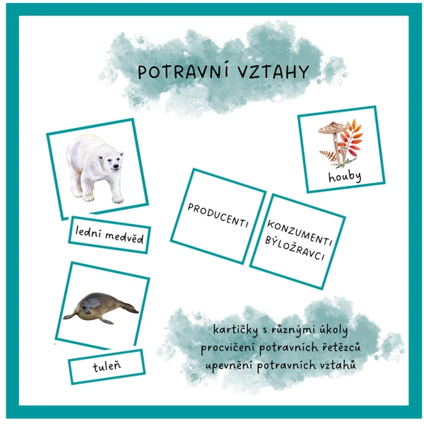 Potravní vztahy 1