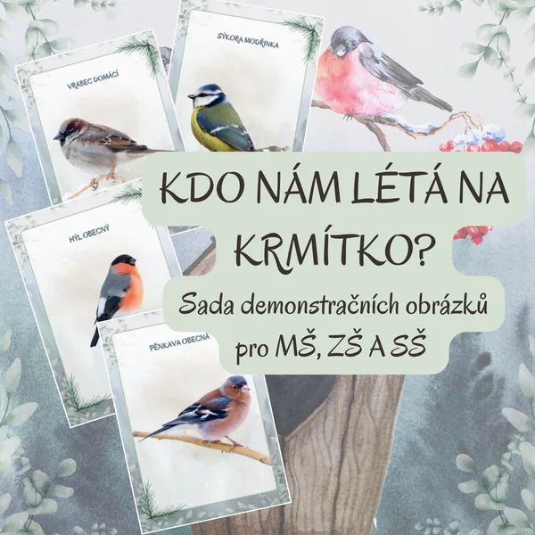 Kdo nám létá na krmítko? 1