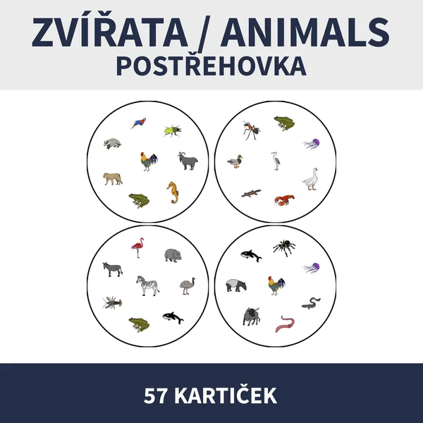ANIMALS, ZVÍŘATA / POSTŘEHOVKA 1