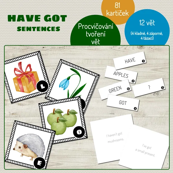 Have got sentences 1