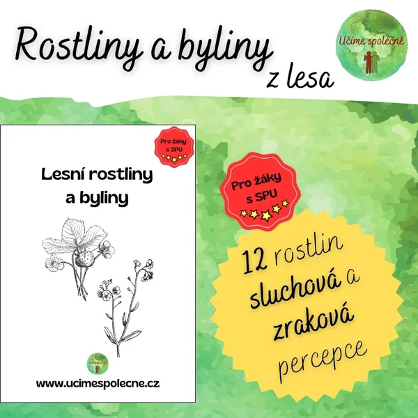 Lesní rostliny a byliny 1