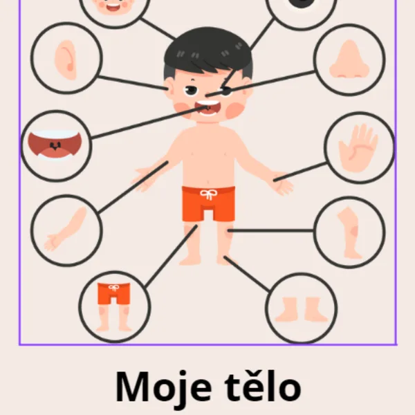 Moje tělo 1