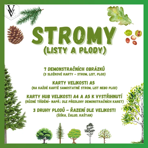 Stromy (listy a plody) 1
