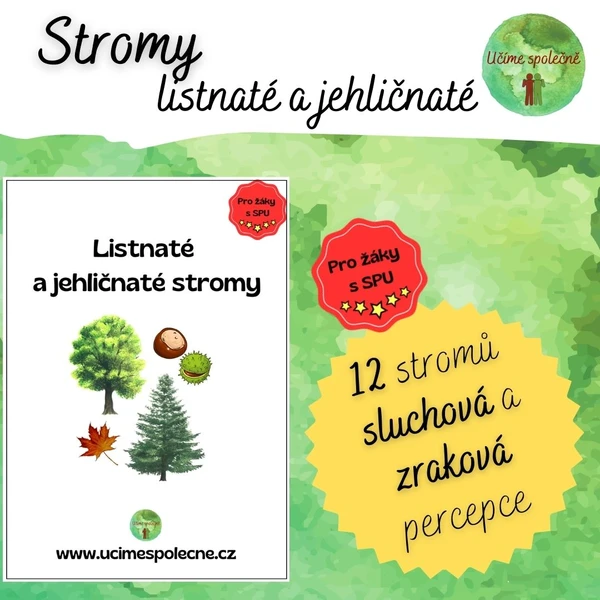 Listnaté a jehličnaté stromy 1