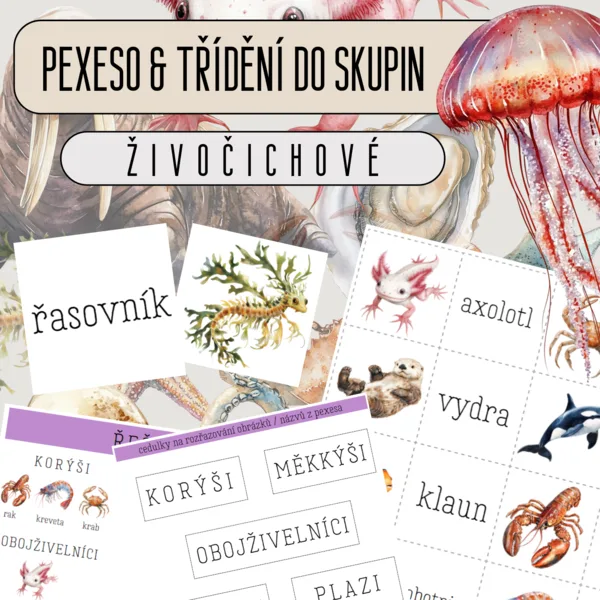 Ve vodě (vodní živočichové) - PEXESO & TŘÍDĚNÍ DO SKUPIN 1
