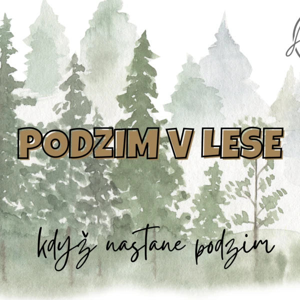 Podzim v lese 1