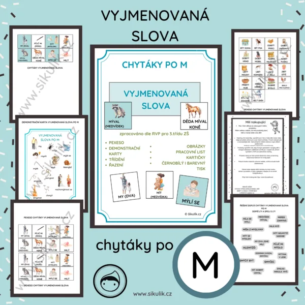 VYJMENOVANÁ SLOVA CHYTÁKY PO M 1