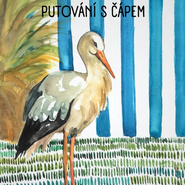 Putování s čápem 1