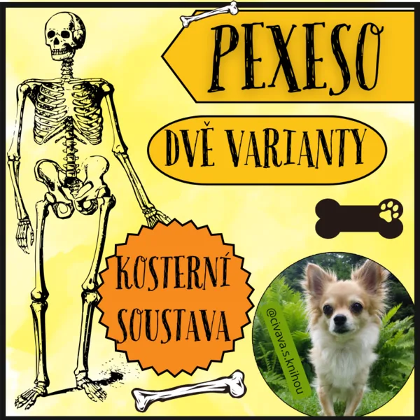 Kosterní soustava - pexeso 1