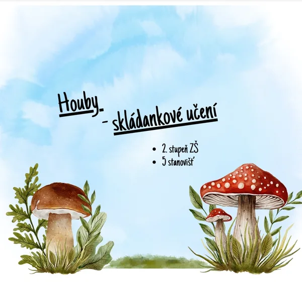 Houby - Skládankové učení, BOV 1