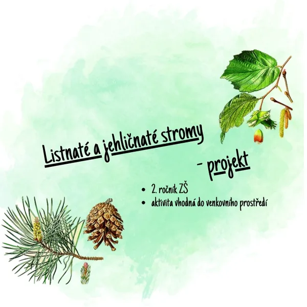 Listnaté a jehličnaté stromy - projekt 1