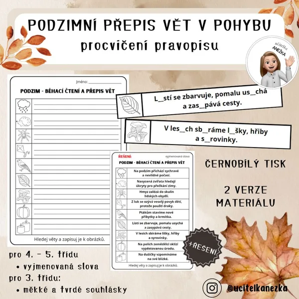 PODZIMNÍ PŘEPIS VĚT V POHYBU (procvičení pravopisu) 1