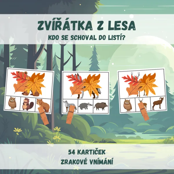 Zvířátka z lesa - kdo se schoval do listí? 1