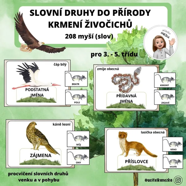 SLOVNÍ DRUHY DO PŘÍRODY - KRMENÍ ŽIVOČICHŮ 1