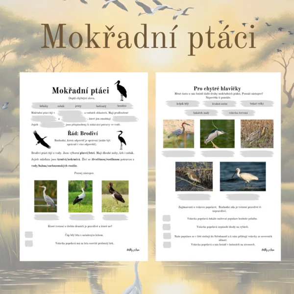 Mokřadní ptáci 1