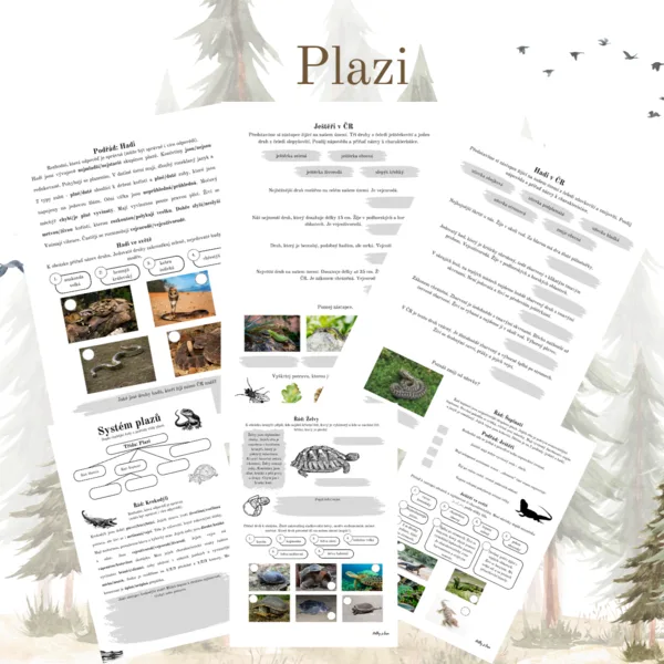 Systém plazů 1