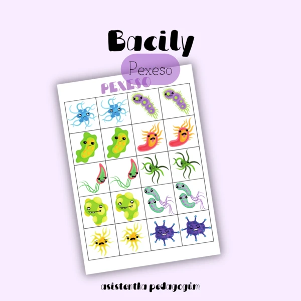 Bacily - pexeso 1