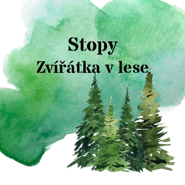 Stopy - lesní zvířátka 1