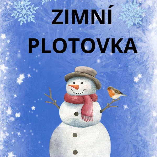 ❄️ Zimní plotovka ⛄️ 1