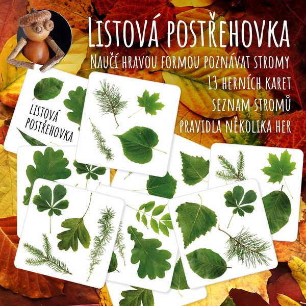Postřehovka s listy 1