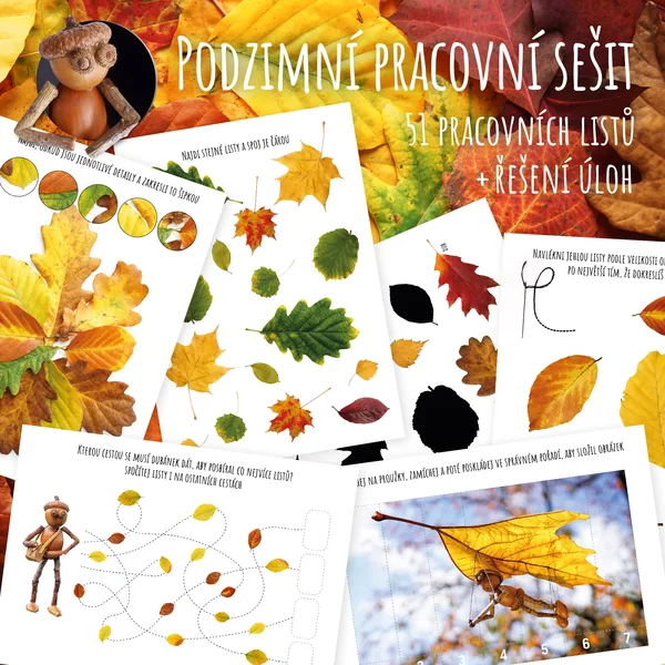 Pracovní sešit s podzimními listy 1