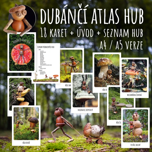 Dubánčí atlas hub 1