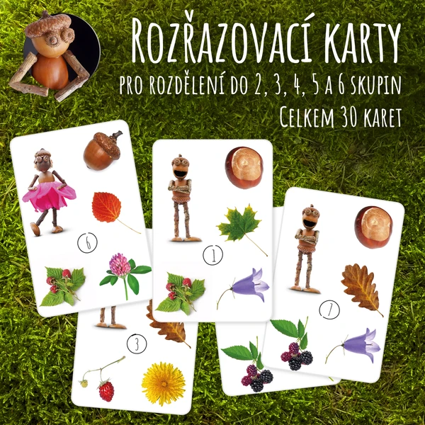 Rozřazovací karty pro rozdělení do skupin 1