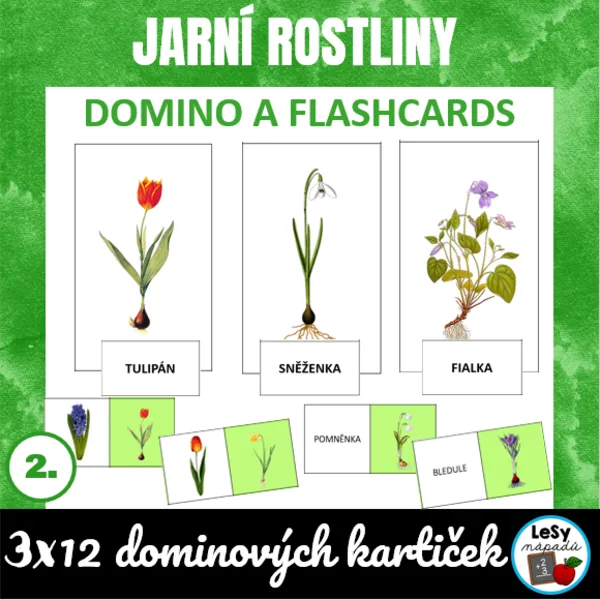 Jarní rostliny - domino 1