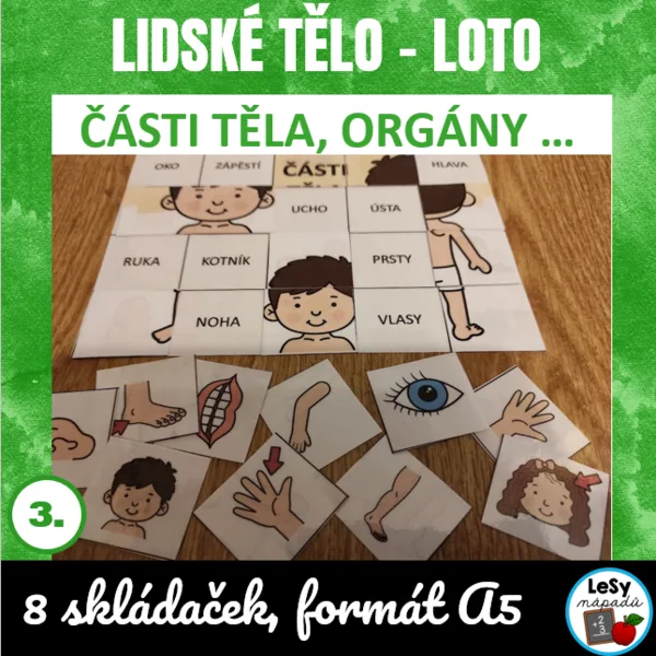 Lidské tělo - loto 1