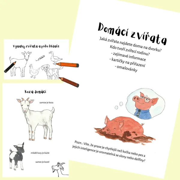Domácí zvířata 1