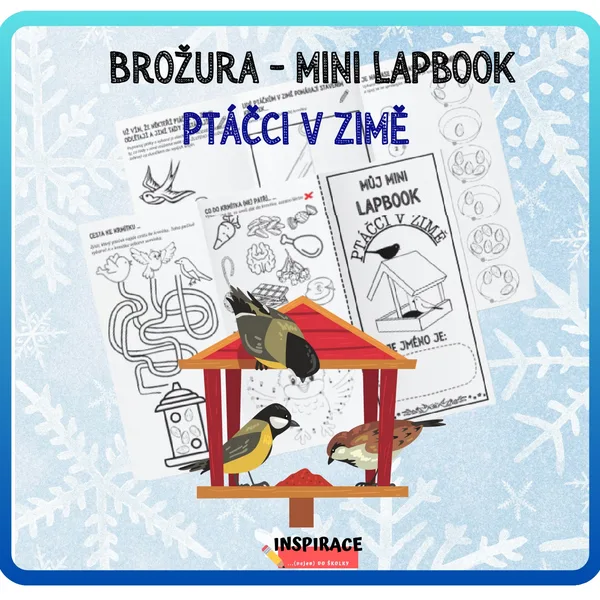  MINI lapbook - Ptáčci v zimě  1