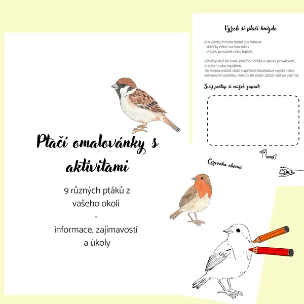 Ptačí omalovánky s aktivitami 1
