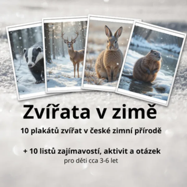 Zvířata v zimě - plakáty a aktivity 1