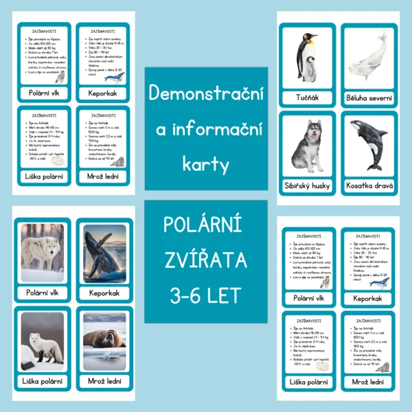 Polární zvířata - demonstrační, informační a třísložkové karty 1