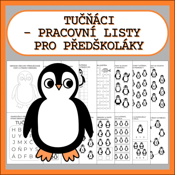 TUČŇÁCI - PRACOVNÍ LISTY PRO PŘEDŠKOLÁKY 1