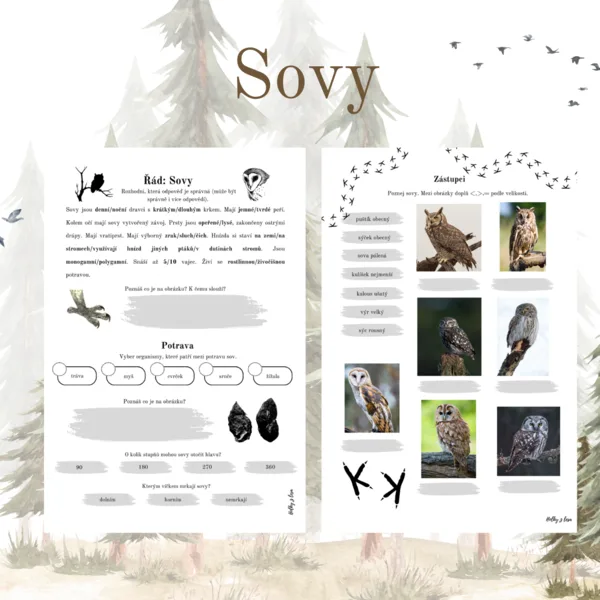 Sovy 1