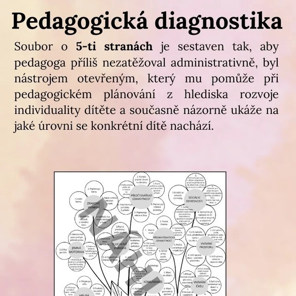 Pedagogická diagnostika dítěte v MŠ 1