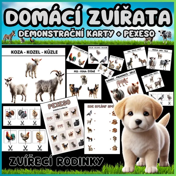 Poznejte domácí zvířátka hravou formou!  1