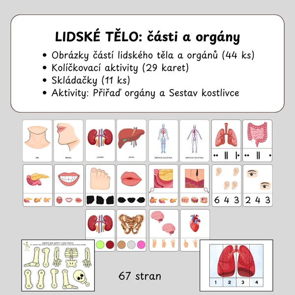 Lidské tělo - části a orgány (obrázky, kolíčkovací aktivity, skládačky) 1