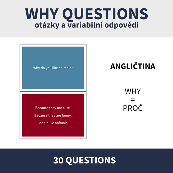 ENG - WHY / KONVERZAČNÍ KARTIČKY (otázky a odpovědi) 1
