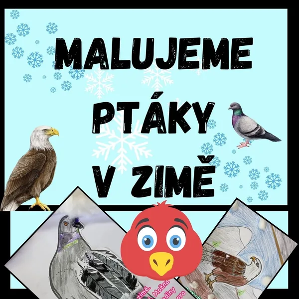 PTÁCI V ZIMĚ - DALŠÍ SADA NA VAŠE PŘÁNÍ - INSPIRACE, ŠABLONY 1