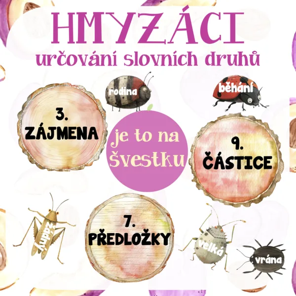 Slovní druhy - hmyzáci 1