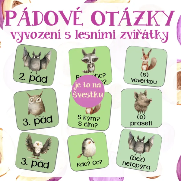 Pádové otázky - vyvození 1
