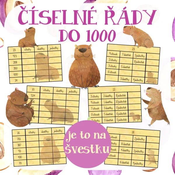 Číselné řády do 1000 s kapybarou 1