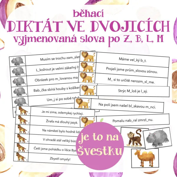 běhací DIKTÁT VE DVOJICÍCH nebo samostatně - vyjmenovaná slova po Z, B, L, M 1